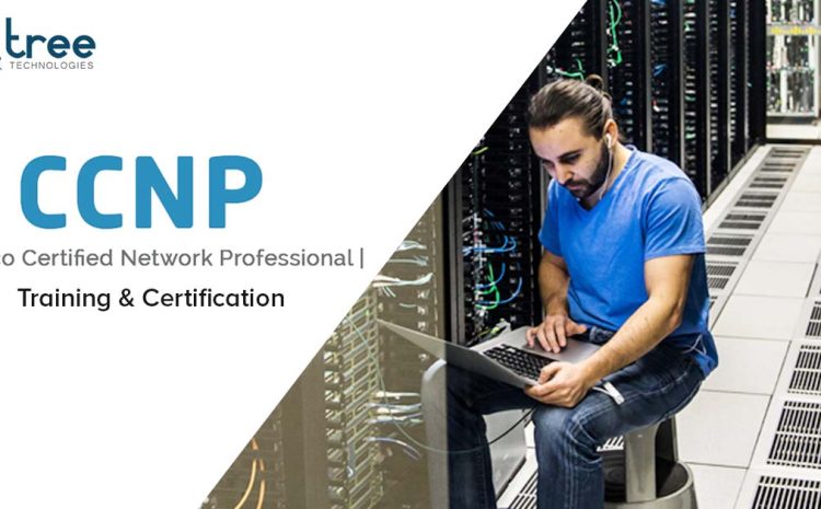 Ccnp veya cisco ağ profesyonel sertifikası